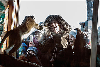 Самая долгожданная свадьба 2016 года   В Барнауле прошла первая свадьба в мире среди макак. Как это было? Смотрим фоторепортаж с места событий. 