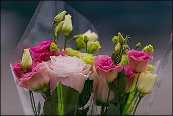 21 июля 2018 года   Не переставайте быть романтиками