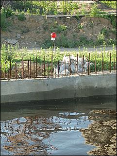 15 июня 2010 г., Барнаул   Паводок