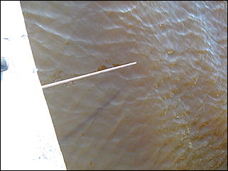 15 июня 2010 г., Барнаул   Паводок