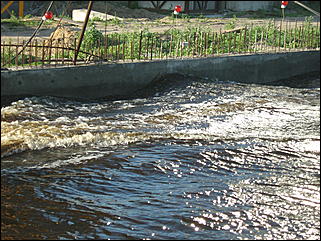 15 июня 2010 г., Барнаул   Паводок