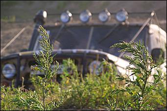 15 июля 2008 г., Барнаул   Алтайский внедорожный клуб организовал шоу