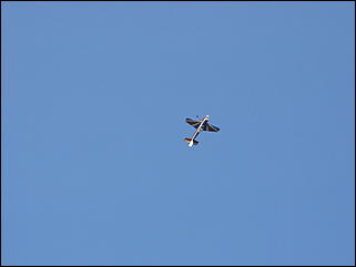 15 сентября 2007 г., Барнаул   Авиашоу «В небе Алтая»