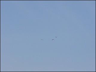 15 сентября 2007 г., Барнаул   Авиашоу «В небе Алтая»