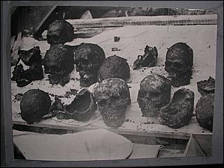    Пробег "Колесо истории 2009"