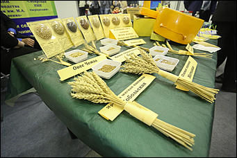 31 октября 2017 г., Барнаул. Екатерина Смолихина   Лучшие алтайские продукты показали в Барнауле на выставке "АлтайПродМаркет"