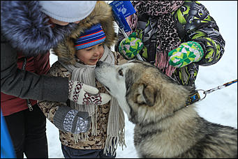 3 декабря 2018 г., Алтайский край. Екатерина Смолихина Остаемся зимовать: как прошел лебединый праздник на Алтае