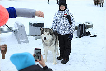 3 декабря 2018 г., Алтайский край. Екатерина Смолихина Остаемся зимовать: как прошел лебединый праздник на Алтае