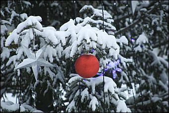 3 декабря 2018 г., Алтайский край. Екатерина Смолихина Остаемся зимовать: как прошел лебединый праздник на Алтае