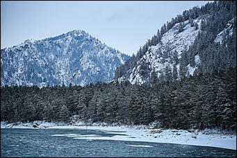 3 декабря 2018 г., Алтайский край. Екатерина Смолихина Остаемся зимовать: как прошел лебединый праздник на Алтае