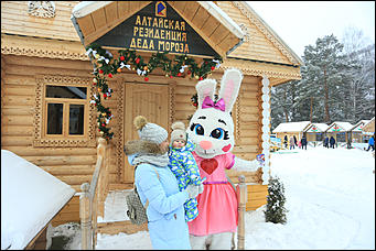 3 декабря 2018 г., Алтайский край. Екатерина Смолихина Остаемся зимовать: как прошел лебединый праздник на Алтае