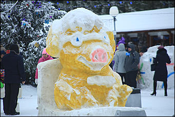 3 декабря 2018 г., Алтайский край. Екатерина Смолихина Остаемся зимовать: как прошел лебединый праздник на Алтае