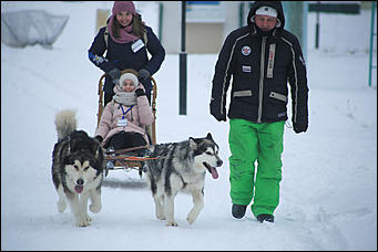 3 декабря 2018 г., Алтайский край. Екатерина Смолихина Остаемся зимовать: как прошел лебединый праздник на Алтае