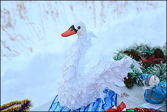 3 декабря 2018 г., Алтайский край. Екатерина Смолихина Остаемся зимовать: как прошел лебединый праздник на Алтае