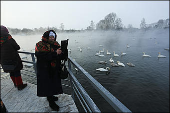 3 декабря 2018 г., Алтайский край. Екатерина Смолихина Остаемся зимовать: как прошел лебединый праздник на Алтае