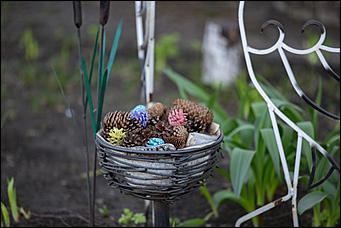 27 апрель 2017 г., Барнаул   Лето в конце апреля. Фоторепортаж с улиц Барнаула