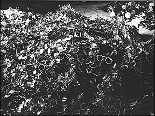 27 январь 2016 г., Барнаул   Кадры, запечатлевшие трагедию Освенцима