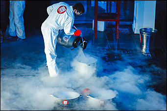 4 декабрь 2015 г., Барнаул   Презентация нового автомобиля Audi A4