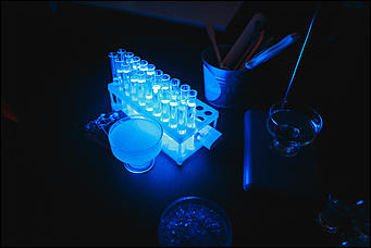 4 декабрь 2015 г., Барнаул   Презентация нового автомобиля Audi A4