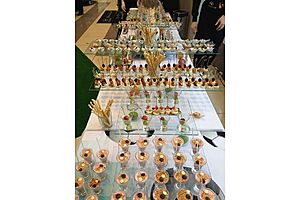   Премьера обновленного  ix35 в Автоцентре АНТ-официальный дилер Hyundai 