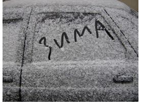   Автокурьезы