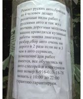   Автокурьезы