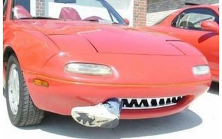   Автокурьезы