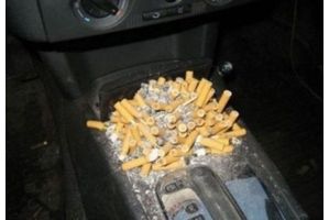   Автокурьезы