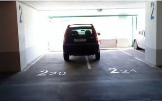   Автокурьезы