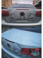   Автокурьезы