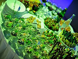   Обновленный Nissan Teana