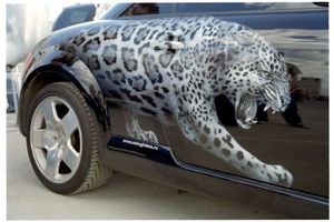   Аэрография на автомобилях