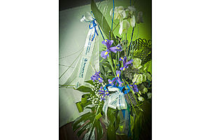   Автоцентр АНТ - официальный дилер Hyundai провел одновременно презентацию четырех автомобилей