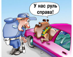   Автокарикатуры