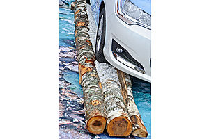   Автоцентр АНТ поздравил жителей с Днем города!