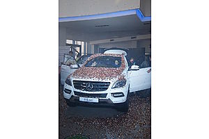     Презентация  нового поколения  премиального кроссовера Mercedes-Benz M-Класса, 31 мая дилерский центр Mercedes-Benz в Барнауле а автосалоне «ПМ-Авто» 
