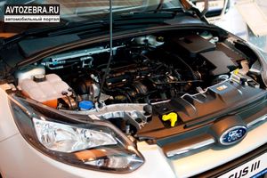   14 февраля 2013г. в г.Бийске открытие официального дилерского центра «Ford»