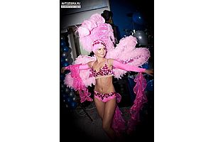   14 февраля 2013г. в г.Бийске открытие официального дилерского центра «Ford»