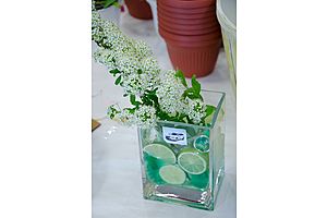   ŠKODA открывает дачный сезон!