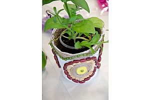   ŠKODA открывает дачный сезон!