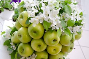   ŠKODA открывает дачный сезон!