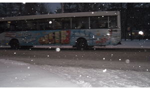   Первый ноябрьский снегопад в Барнауле. 06.11.12