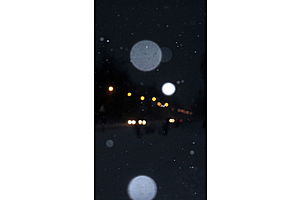   Первый ноябрьский снегопад в Барнауле. 06.11.12