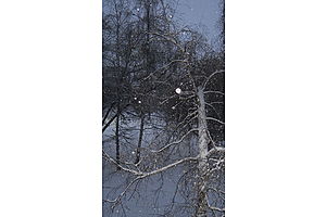   Первый ноябрьский снегопад в Барнауле. 06.11.12