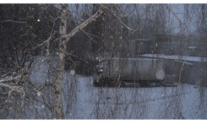   Первый ноябрьский снегопад в Барнауле. 06.11.12