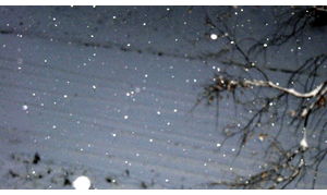   Первый ноябрьский снегопад в Барнауле. 06.11.12