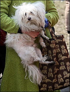 12 апреля 2009 г., Москва   Открытие Международного Ретро Фестиваля «Авто Старина»