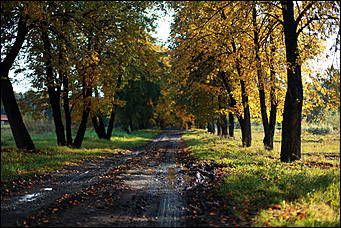 20 сентября 2017 г, Барнаул. Екатерина Смолихина   Буйство красок осеннего Барнаула