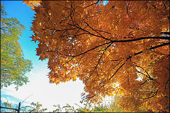 20 сентября 2017 г, Барнаул. Екатерина Смолихина   Буйство красок осеннего Барнаула