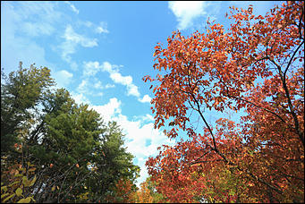 20 сентября 2017 г, Барнаул. Екатерина Смолихина   Буйство красок осеннего Барнаула